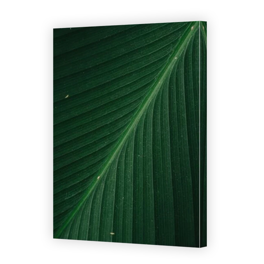 Thumbnail for Canvas - Mirror Image Canvas Wrap