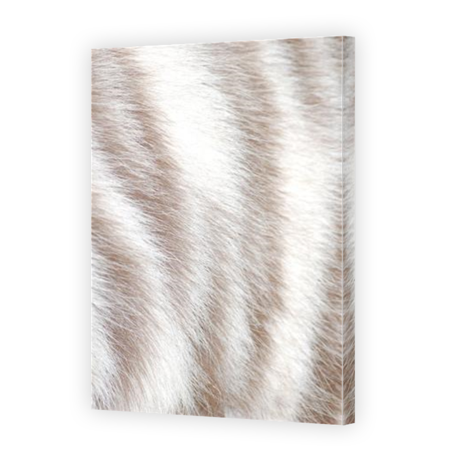 Thumbnail for Canvas - Mirror Image Canvas Wrap