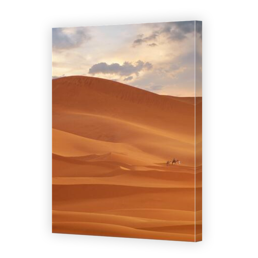 Thumbnail for Canvas - Mirror Image Canvas Wrap