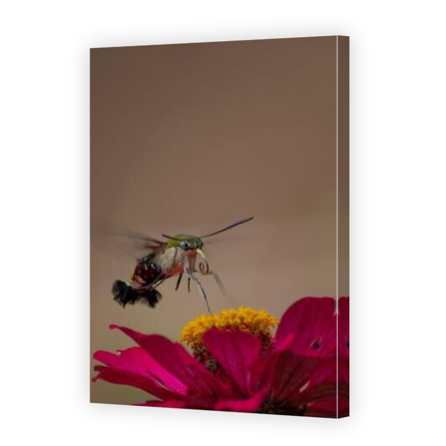 Thumbnail for Canvas - Mirror Image Canvas Wrap