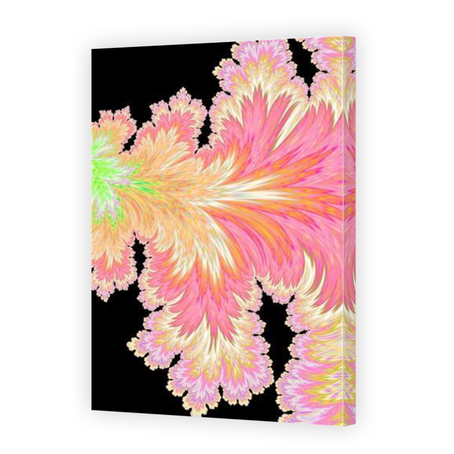Thumbnail for Canvas - Mirror Image Canvas Wrap