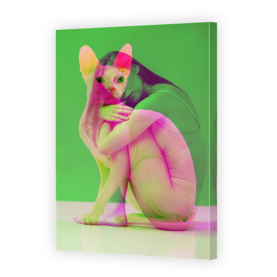 Thumbnail for Canvas - Mirror Image Canvas Wrap
