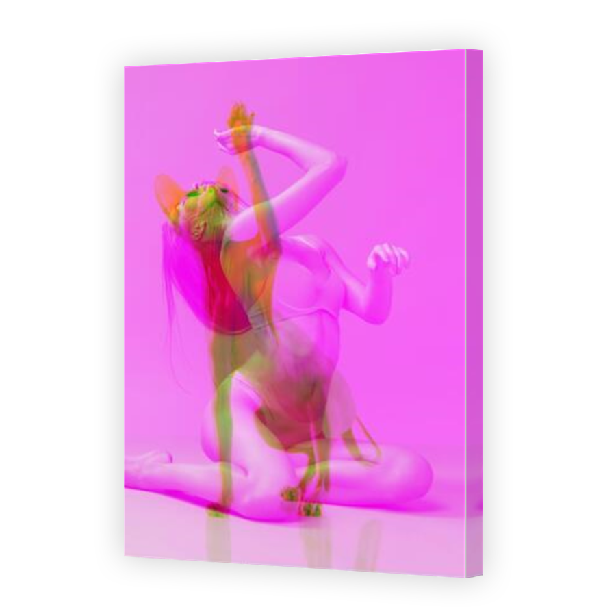Thumbnail for Canvas - Mirror Image Canvas Wrap
