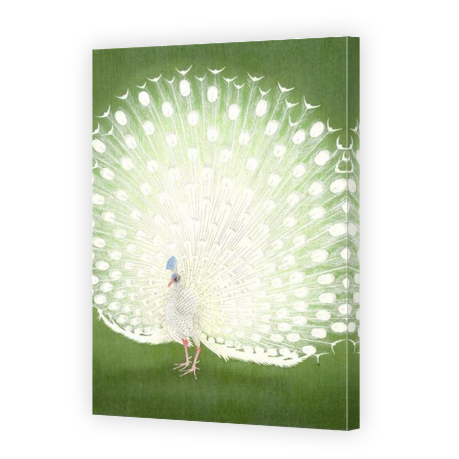 Thumbnail for Canvas - Mirror Image Canvas Wrap