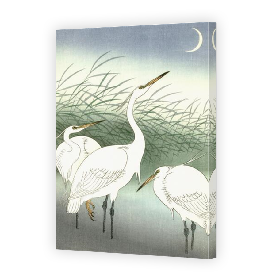 Thumbnail for Canvas - Mirror Image Canvas Wrap