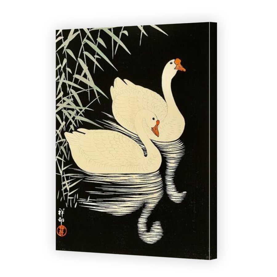 Thumbnail for Canvas - Mirror Image Canvas Wrap