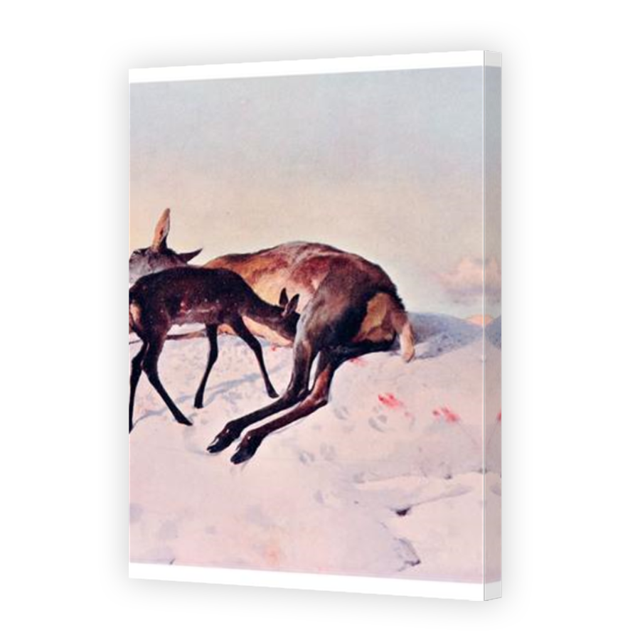 Thumbnail for Canvas - Mirror Image Canvas Wrap