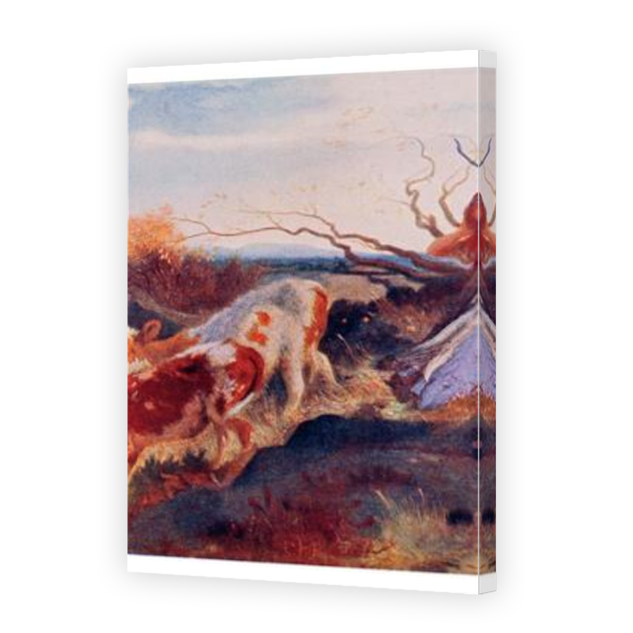 Thumbnail for Canvas - Mirror Image Canvas Wrap