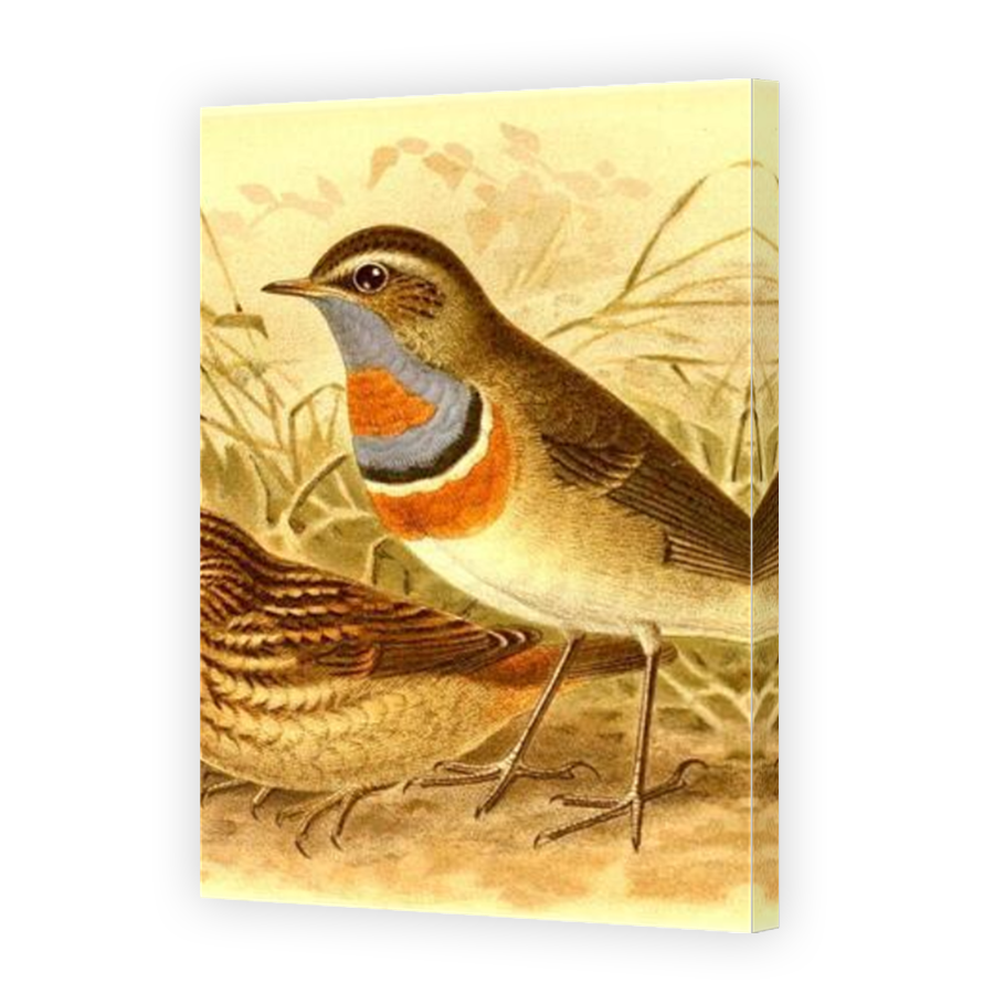 Thumbnail for Canvas - Mirror Image Canvas Wrap