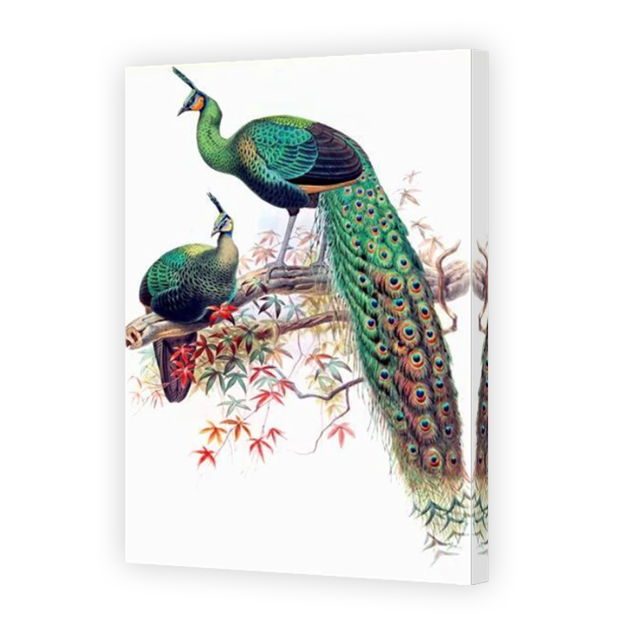 Thumbnail for Canvas - Mirror Image Canvas Wrap