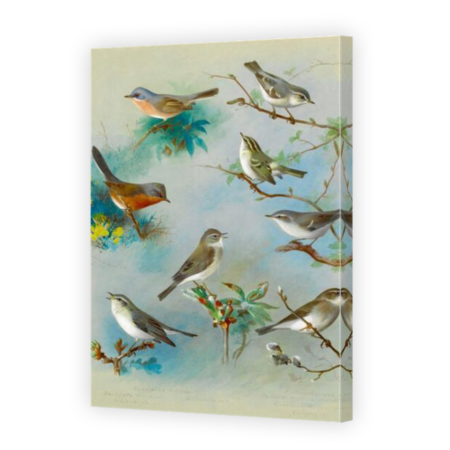 Thumbnail for Canvas - Mirror Image Canvas Wrap