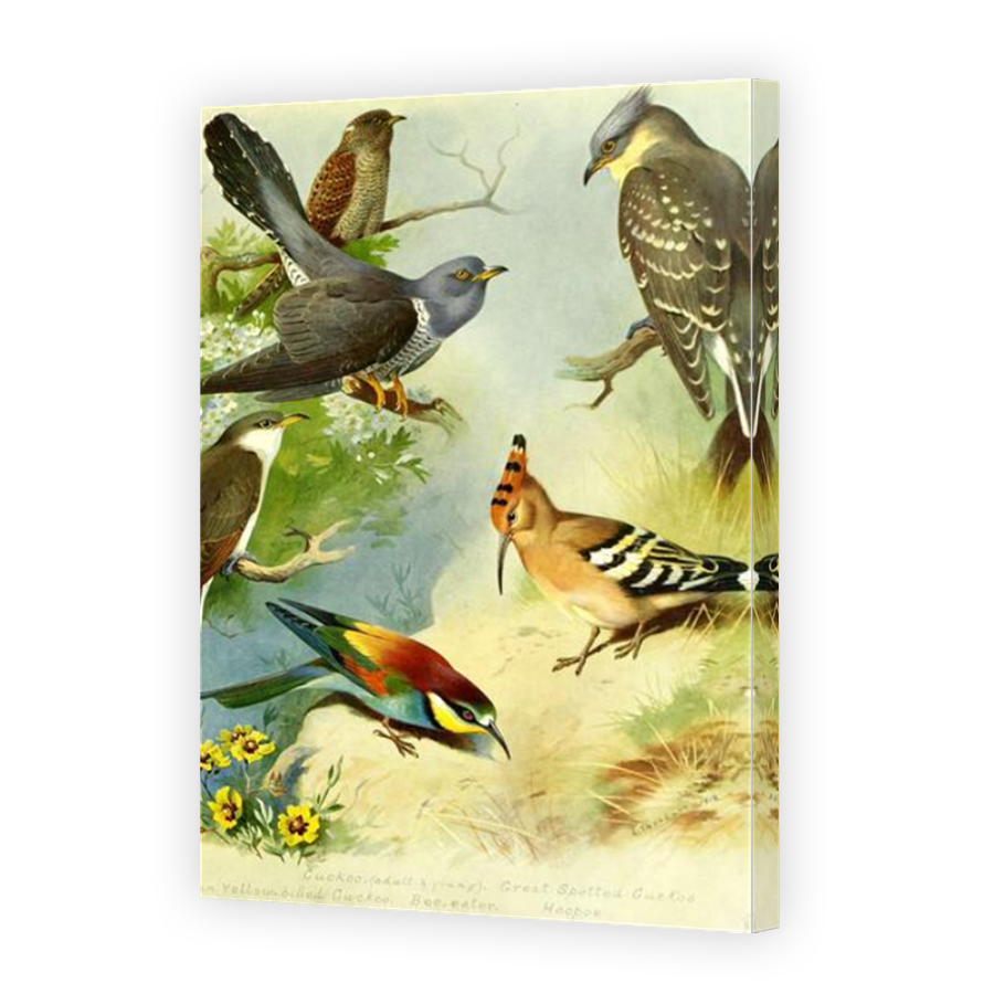 Thumbnail for Canvas - Mirror Image Canvas Wrap
