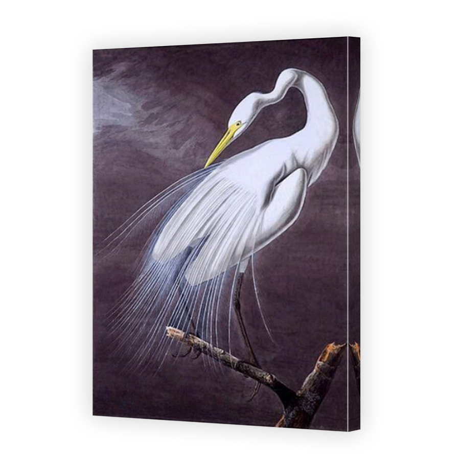 Thumbnail for Canvas - Mirror Image Canvas Wrap