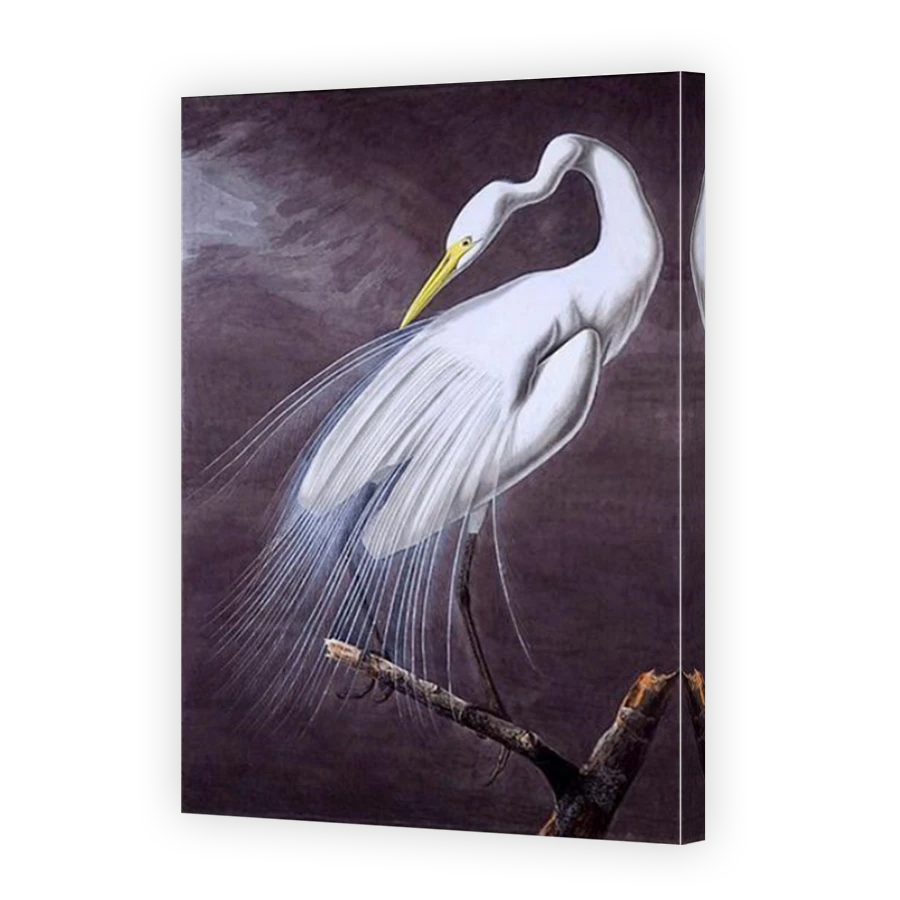 Thumbnail for Canvas - Mirror Image Canvas Wrap