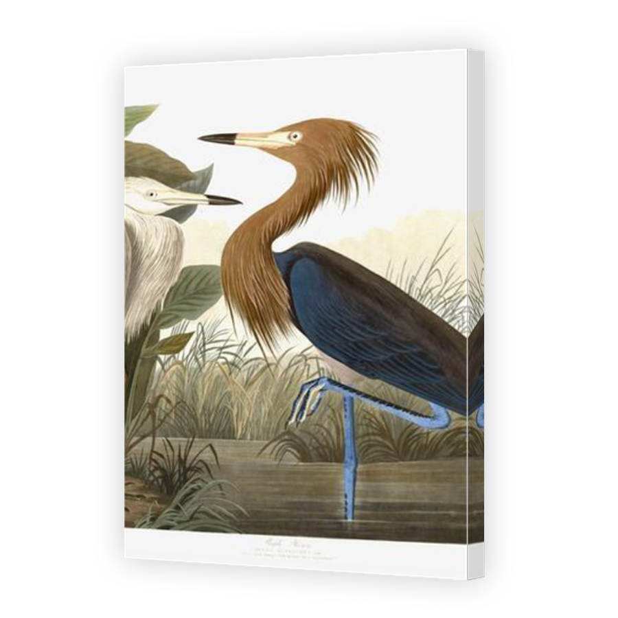 Thumbnail for Canvas - Mirror Image Canvas Wrap