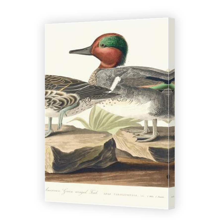 Thumbnail for Canvas - Mirror Image Canvas Wrap