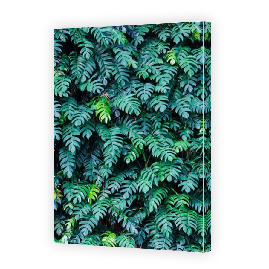 Thumbnail for Canvas - Mirror Image Canvas Wrap