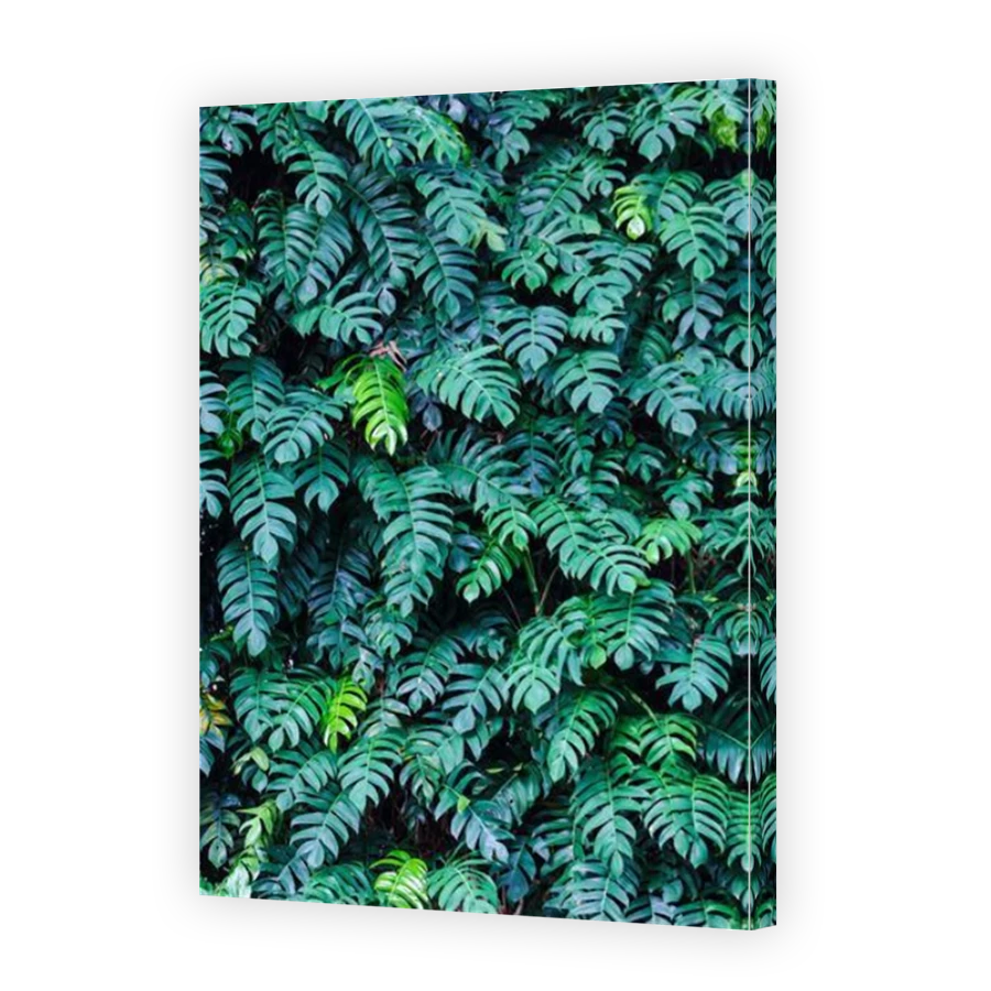 Thumbnail for Canvas - Mirror Image Canvas Wrap