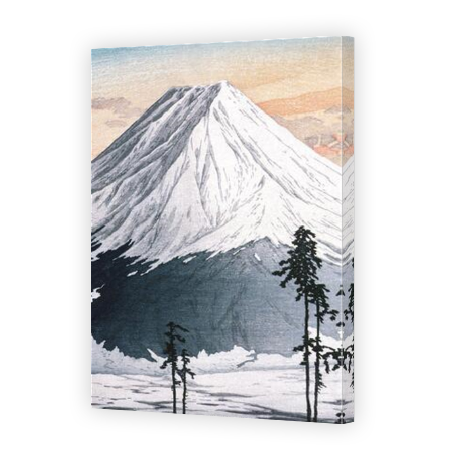 Thumbnail for Canvas - Mirror Image Canvas Wrap