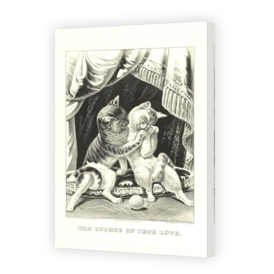 Thumbnail for Canvas - Mirror Image Canvas Wrap