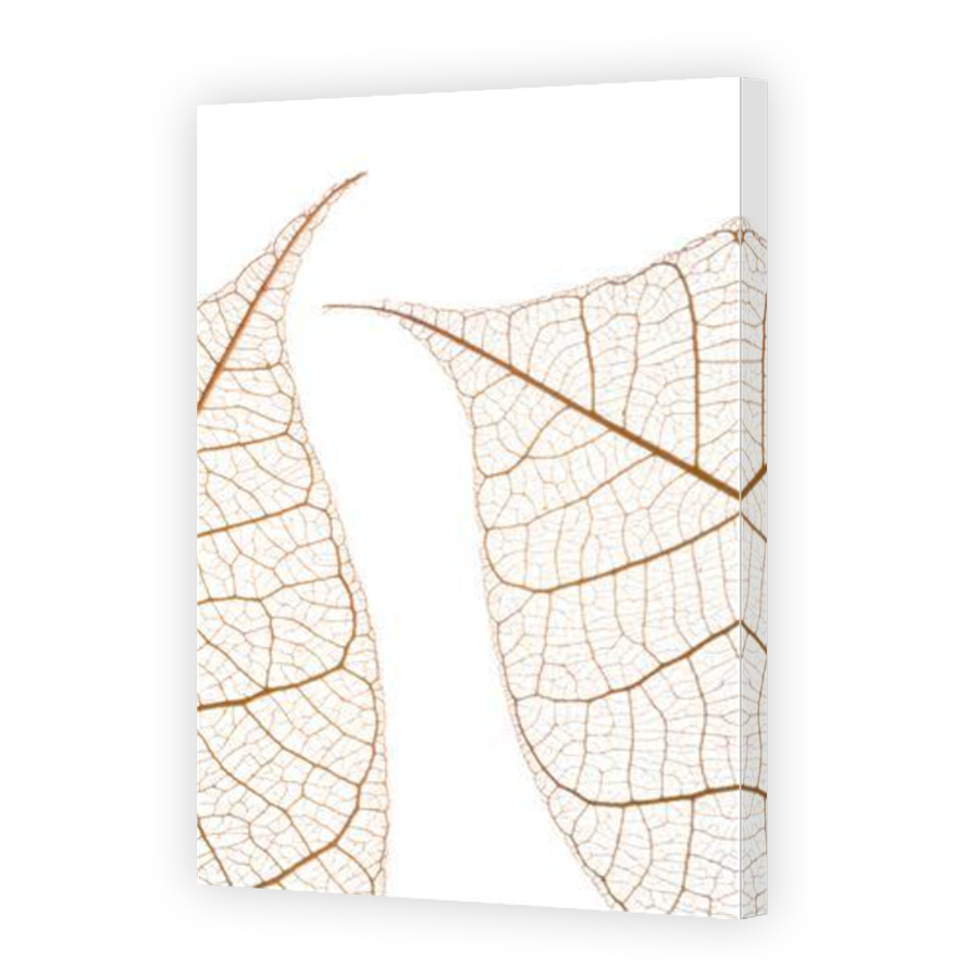 Thumbnail for Canvas - Mirror Image Canvas Wrap
