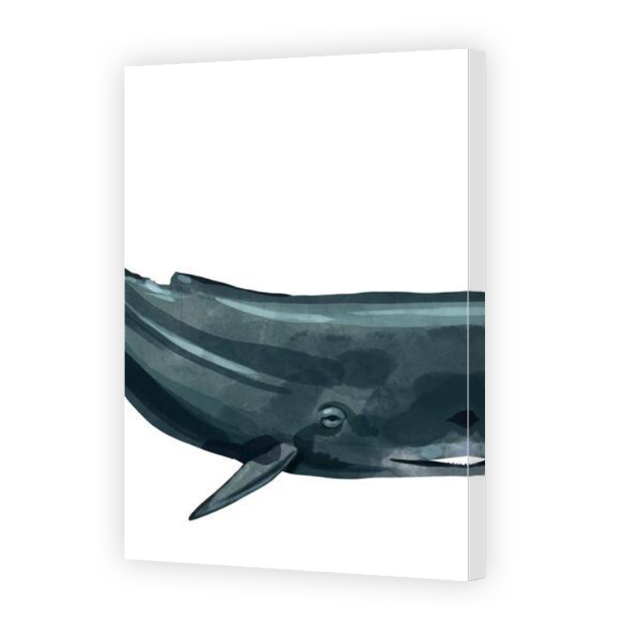 Thumbnail for Canvas - Mirror Image Canvas Wrap