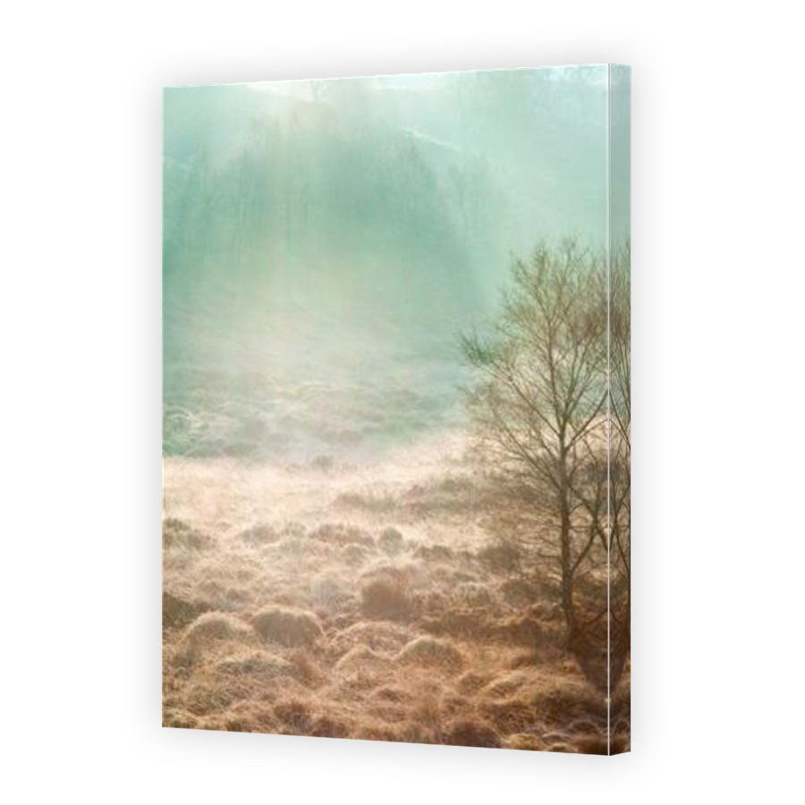 Thumbnail for Canvas - Mirror Image Canvas Wrap
