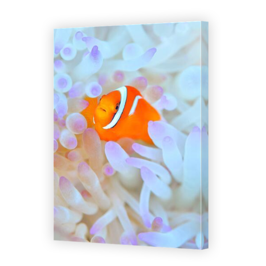 Thumbnail for Canvas - Mirror Image Canvas Wrap