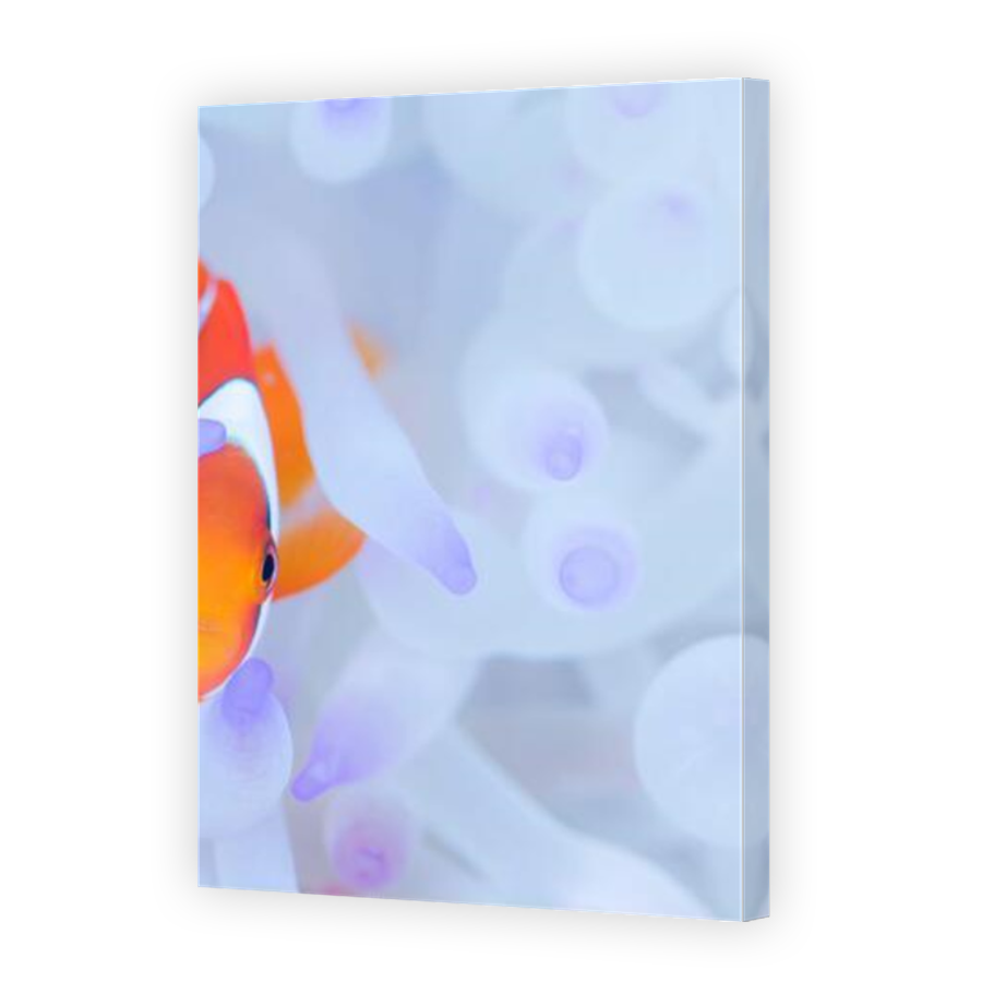 Thumbnail for Canvas - Mirror Image Canvas Wrap