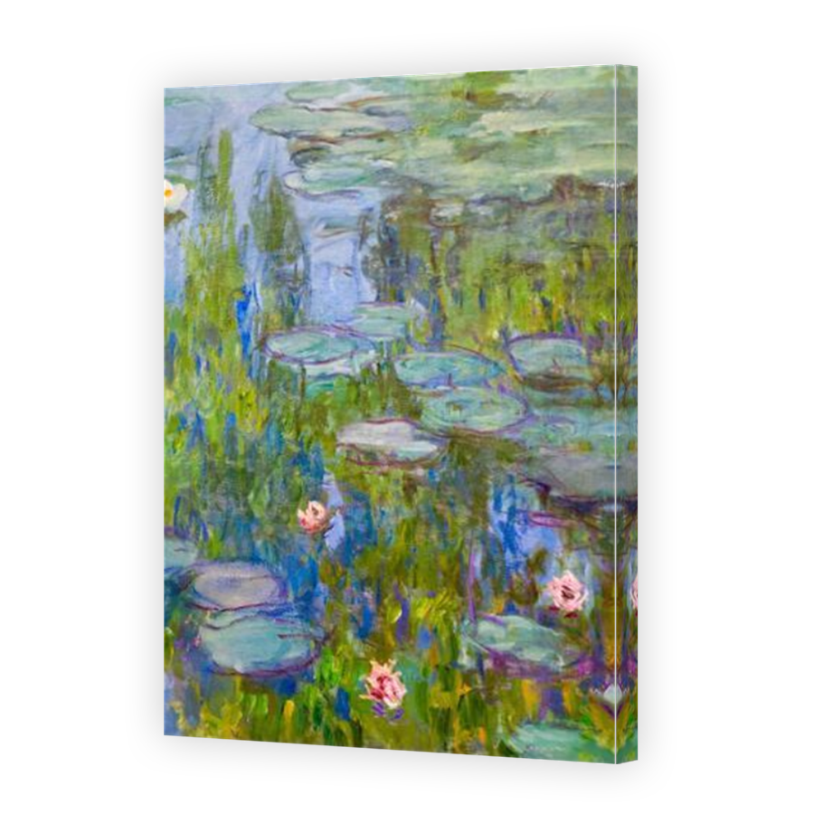 Thumbnail for Canvas - Mirror Image Canvas Wrap