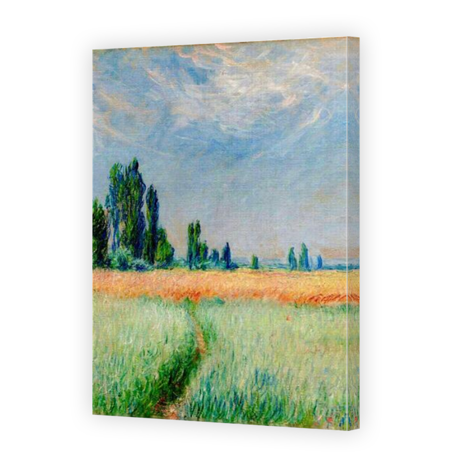 Thumbnail for Canvas - Mirror Image Canvas Wrap