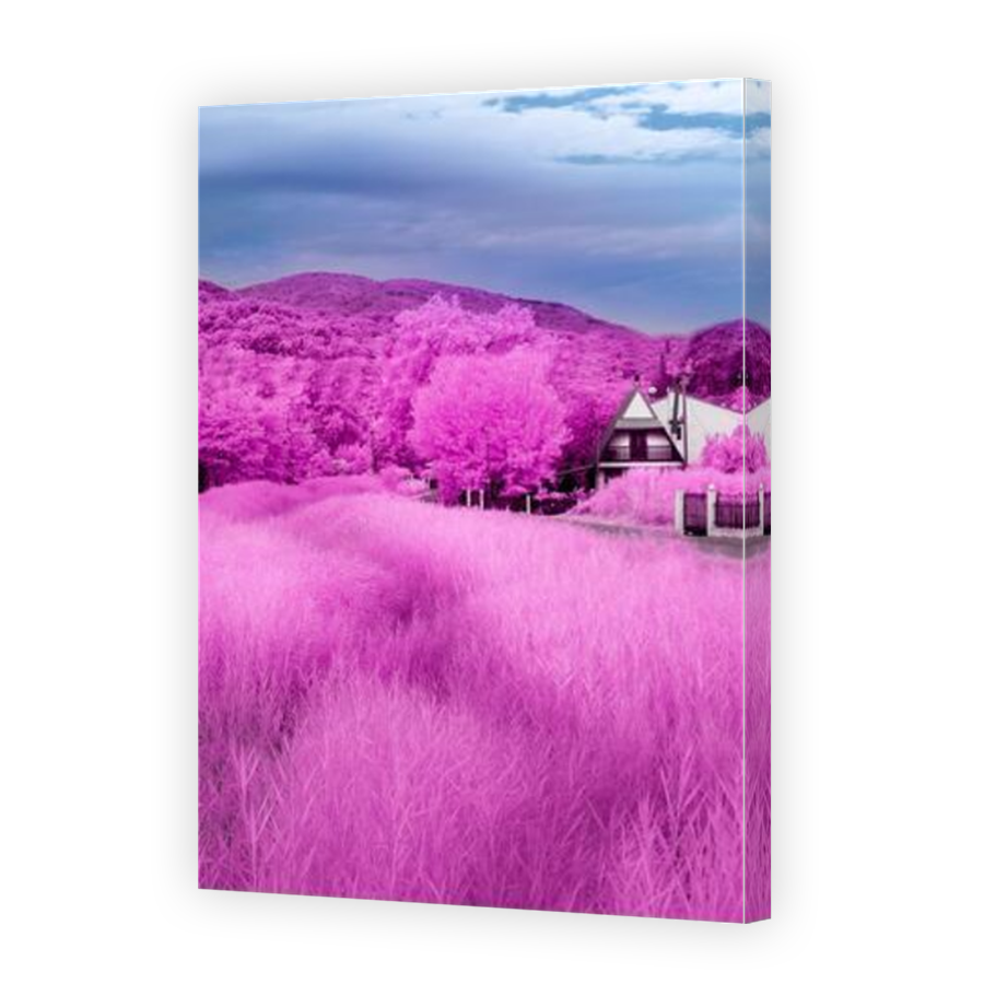 Thumbnail for Canvas - Mirror Image Canvas Wrap