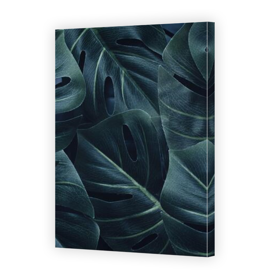 Thumbnail for Canvas - Mirror Image Canvas Wrap