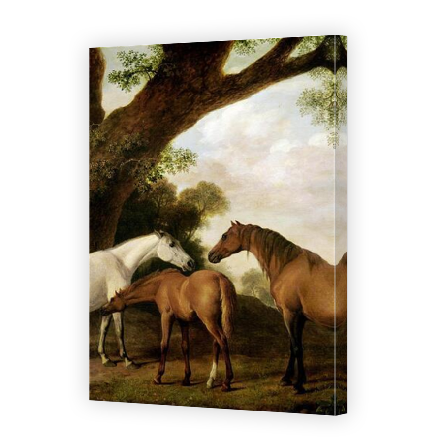 Thumbnail for Canvas - Mirror Image Canvas Wrap