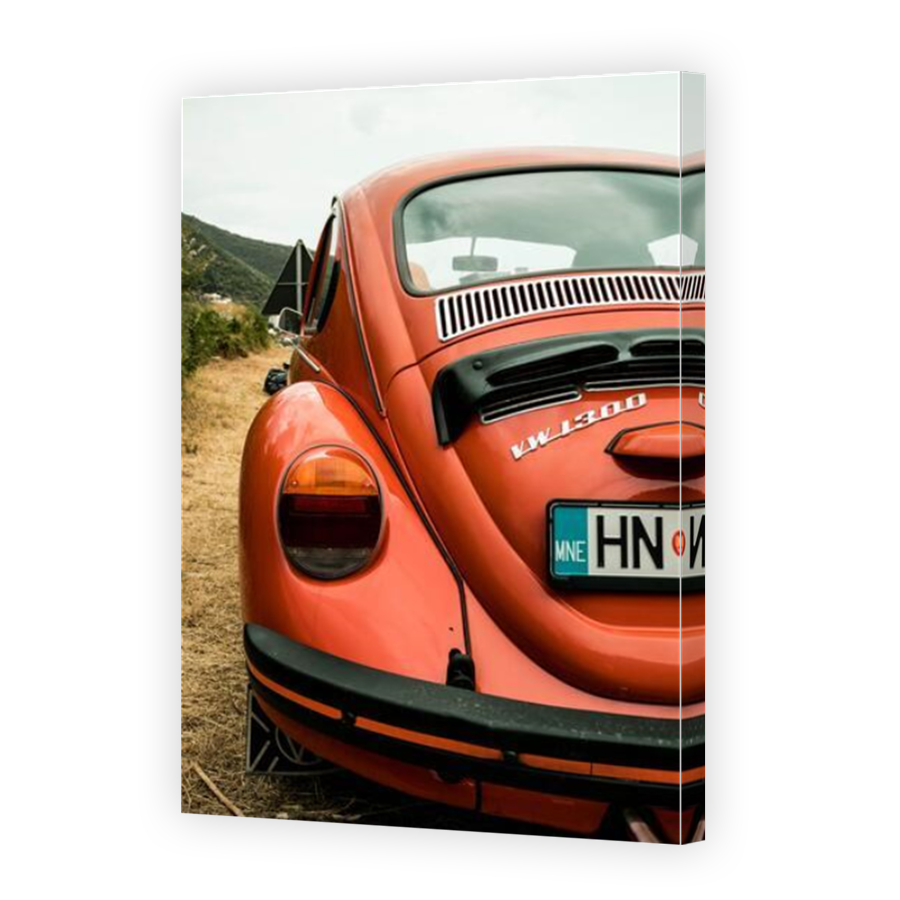 Thumbnail for Canvas - Mirror Image Canvas Wrap