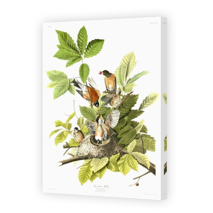 Thumbnail for Canvas - Mirror Image Canvas Wrap