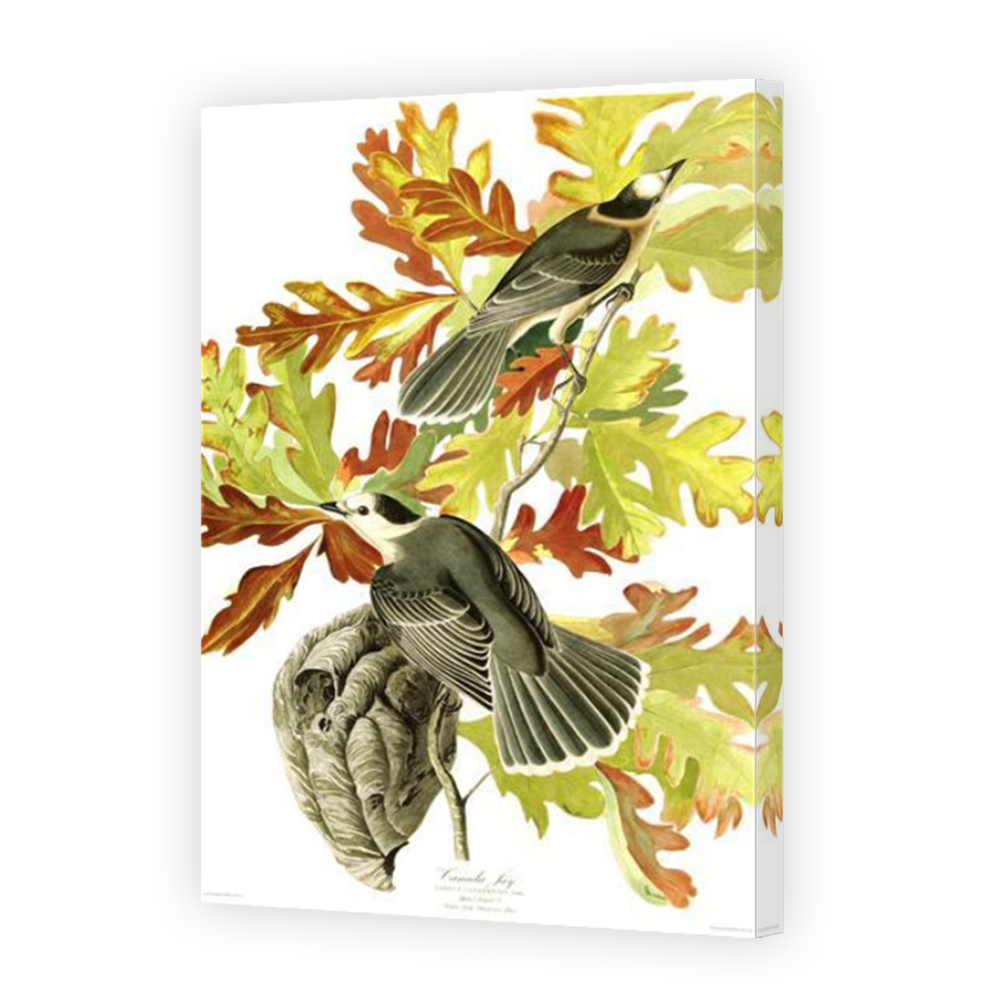 Thumbnail for Canvas - Mirror Image Canvas Wrap