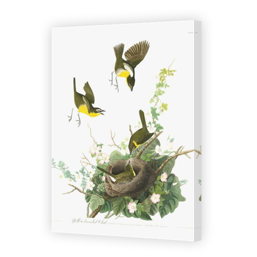 Thumbnail for Canvas - Mirror Image Canvas Wrap