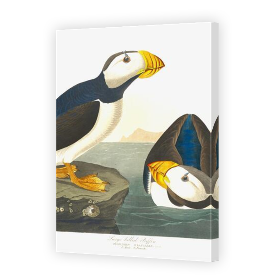 Thumbnail for Canvas - Mirror Image Canvas Wrap