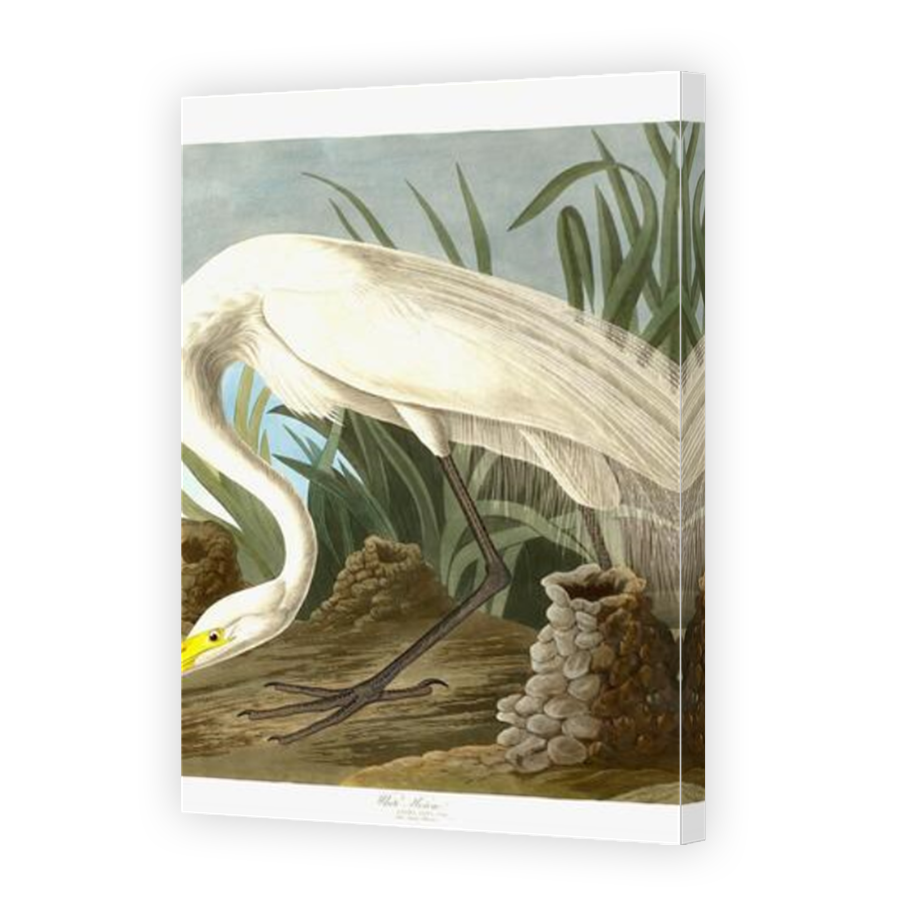 Thumbnail for Canvas - Mirror Image Canvas Wrap