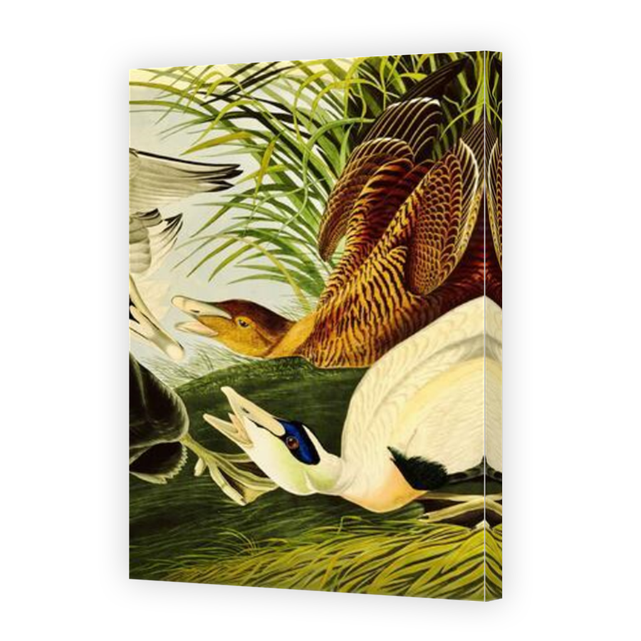 Thumbnail for Canvas - Mirror Image Canvas Wrap