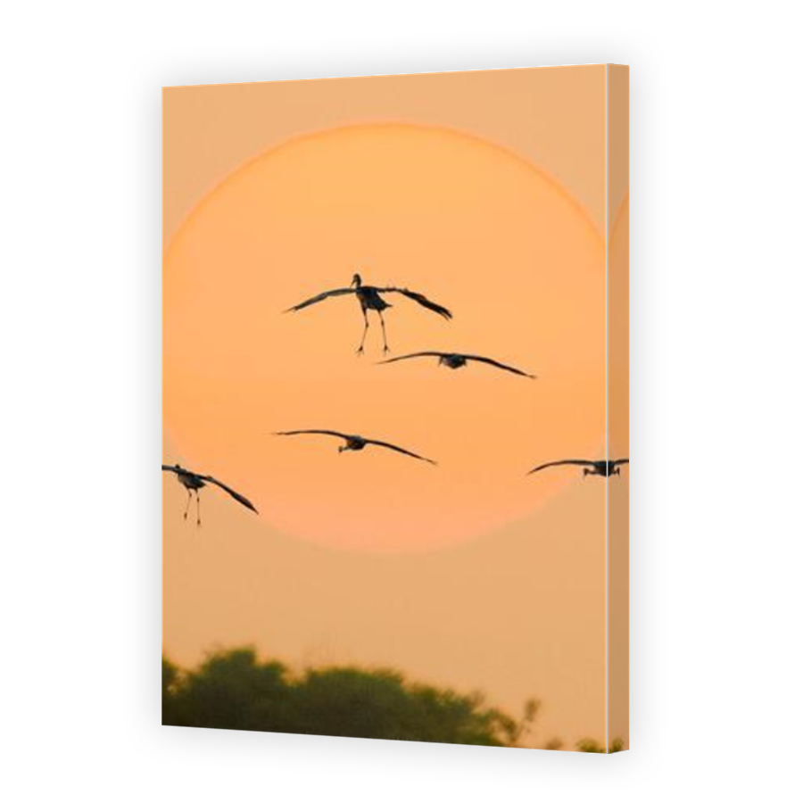 Thumbnail for Canvas - Mirror Image Canvas Wrap