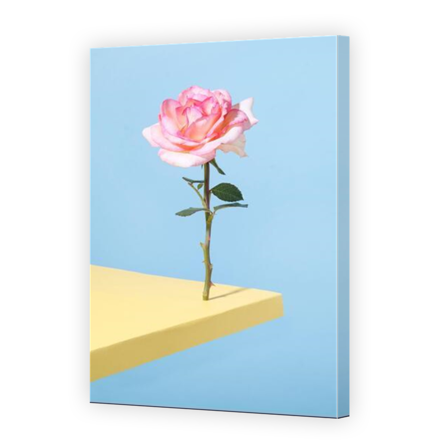 Thumbnail for Canvas - Mirror Image Canvas Wrap