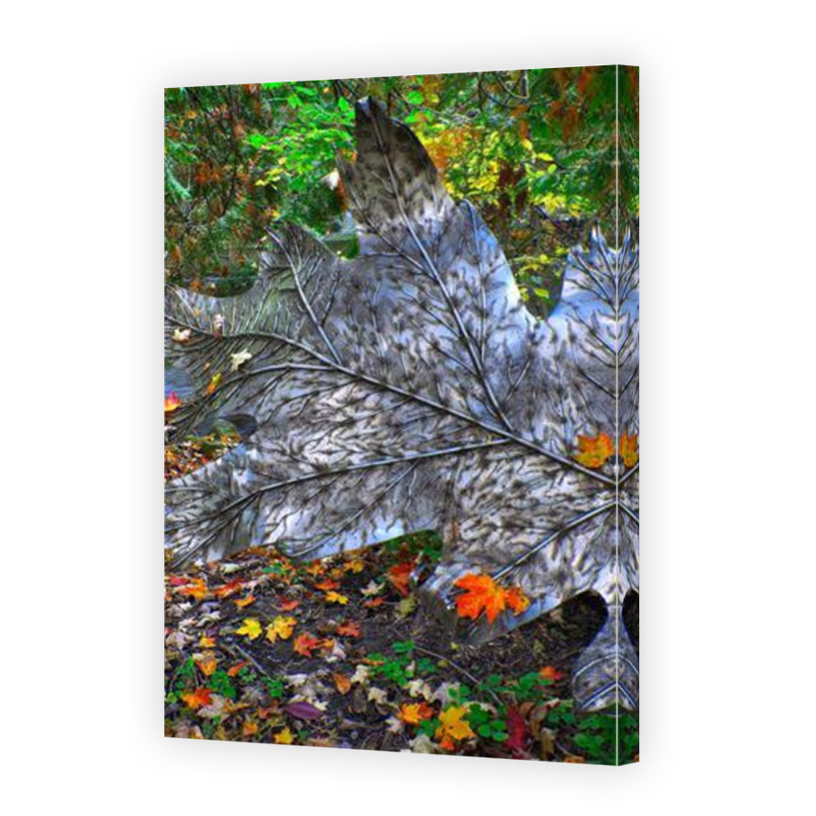Thumbnail for Canvas - Mirror Image Canvas Wrap