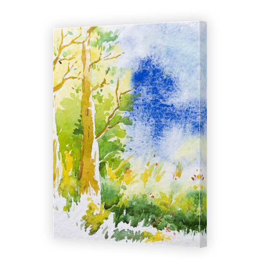 Thumbnail for Canvas - Mirror Image Canvas Wrap