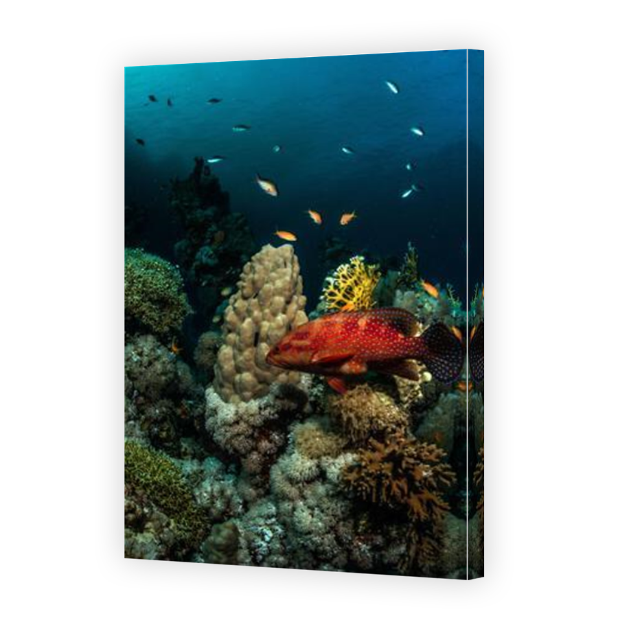 Thumbnail for Canvas - Mirror Image Canvas Wrap