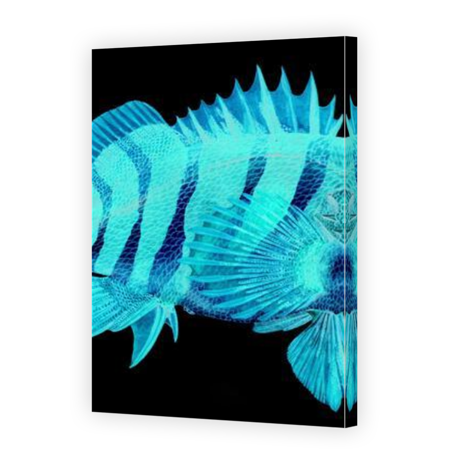Thumbnail for Canvas - Mirror Image Canvas Wrap