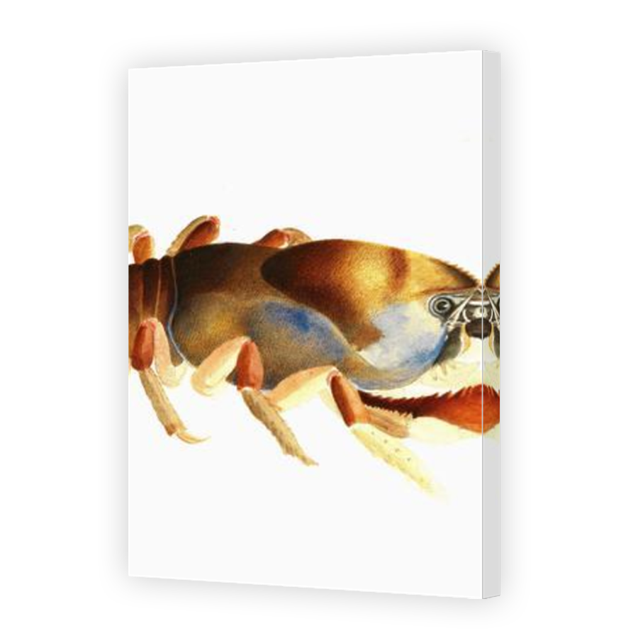 Thumbnail for Canvas - Mirror Image Canvas Wrap