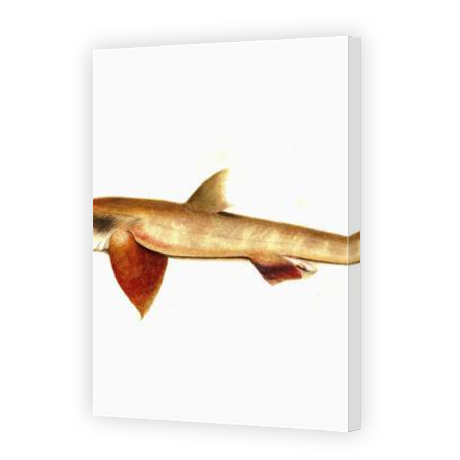 Thumbnail for Canvas - Mirror Image Canvas Wrap