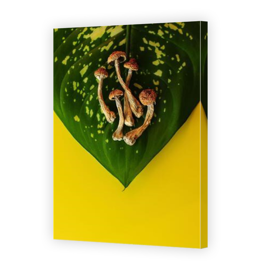 Thumbnail for Canvas - Mirror Image Canvas Wrap